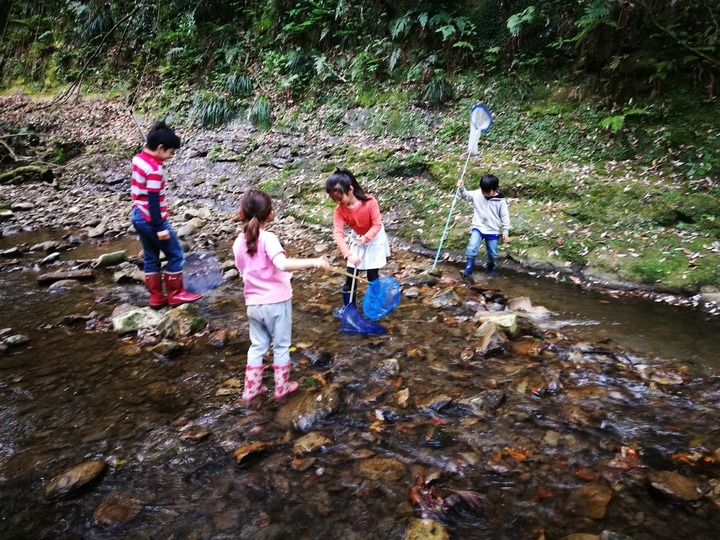 0504川遊び