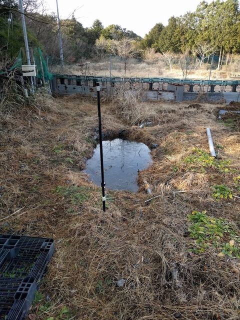 0217止まり木.jpg
