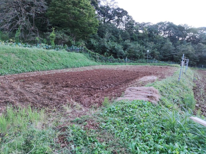 0920田んぼ1号