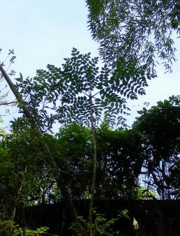 e1c720c4.jpg