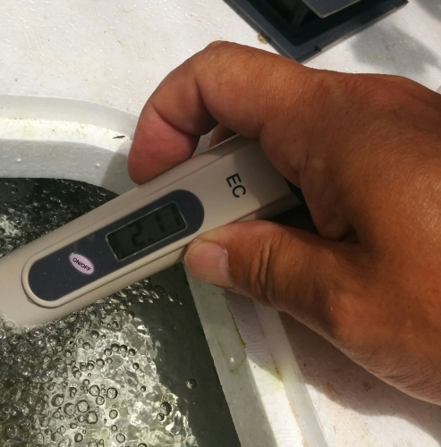 e25b4d69.jpg
