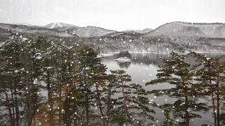 裏磐梯SNOW.gif
