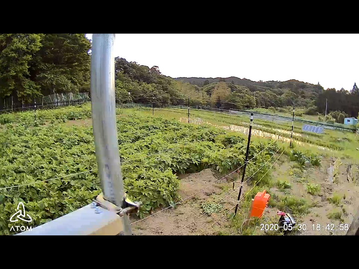 0530田