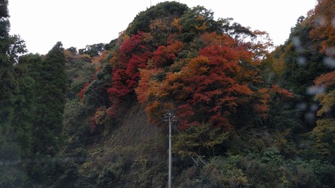 1207房総の紅葉.jpg