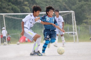 line_1267694564149 (2)