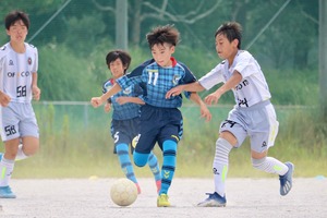 line_1316799451735 (1)