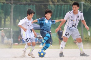 line_1419829135550 (1)