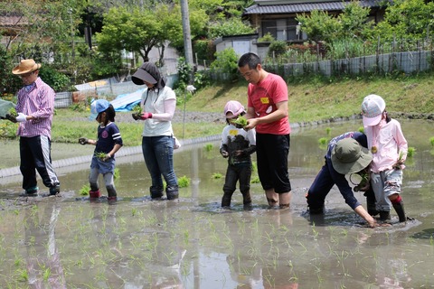 田植え (41)