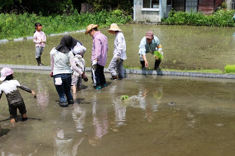 田植え (49)