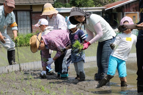 田植え (22)