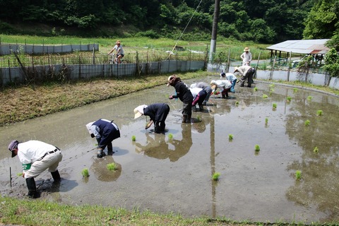 田植え (42)