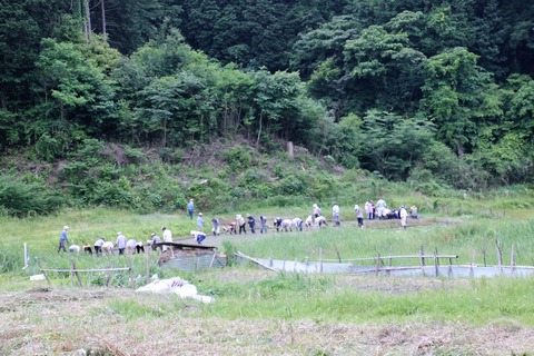 田植え (72)