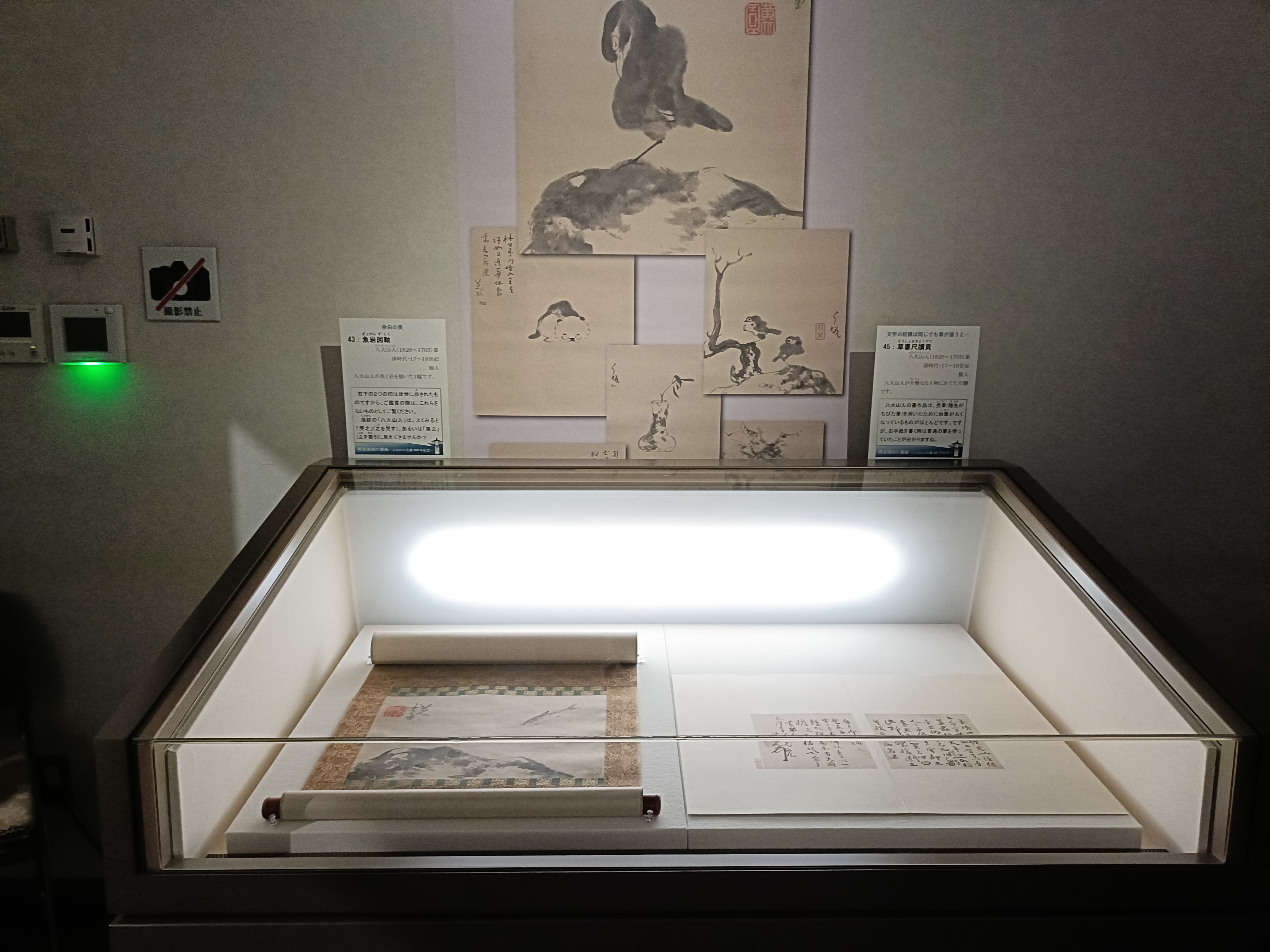 明末清初の書画―八大山人 生誕400年記念―」台東区立書道博物館 取材