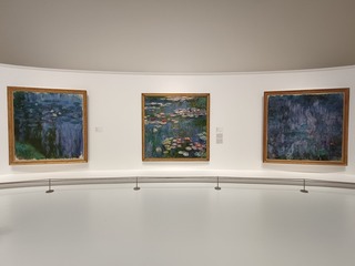 IMG20241004145153