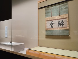 IMG_20250221_141706553