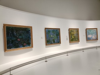 IMG20241004144638