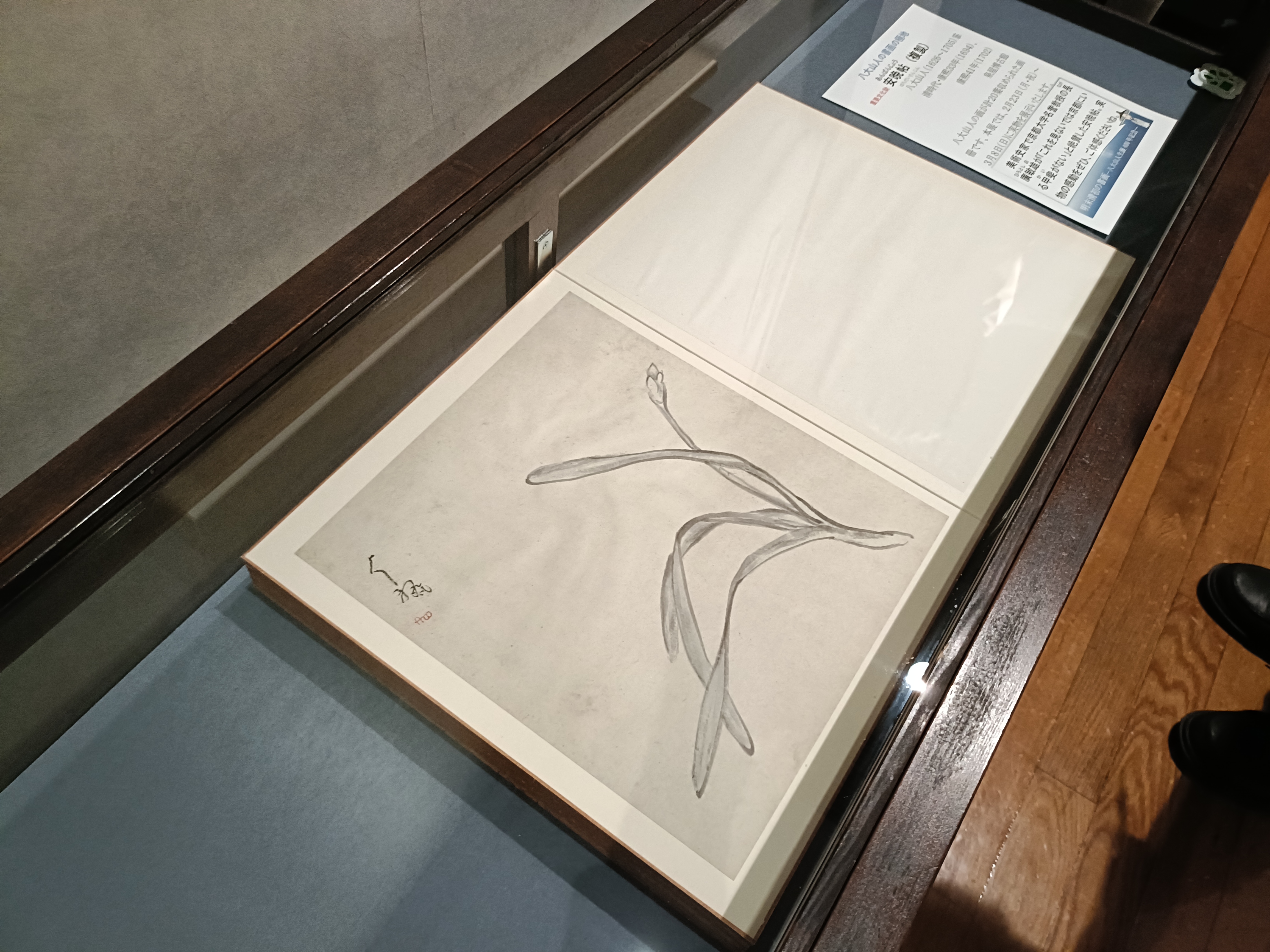 明末清初の書画―八大山人 生誕400年記念―」台東区立書道博物館 取材
