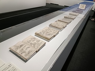 IMG20250526134940