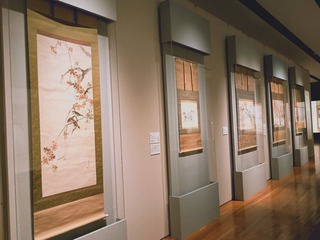 IMG_20250310_172452005