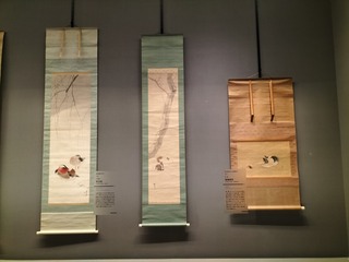 IMG20240315131144