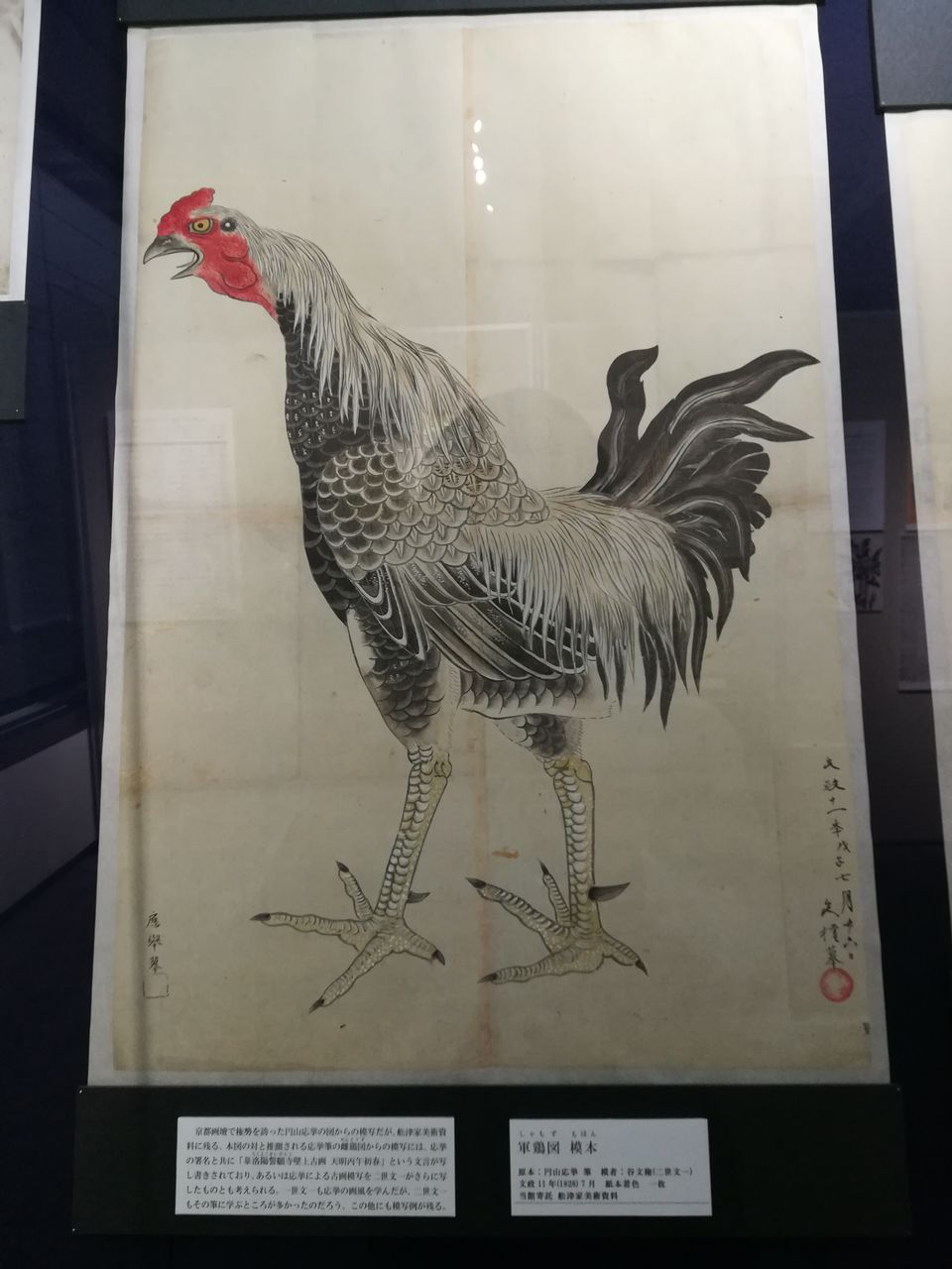 谷文晁と二人の文一」足立区立郷土博物館 : 美術散歩