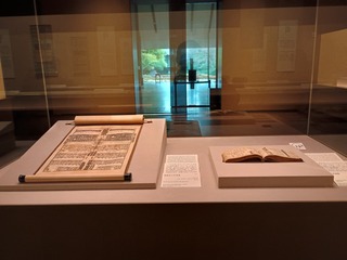 IMG_20250221_142245461_HDR