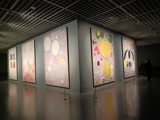 IMG20250303154957