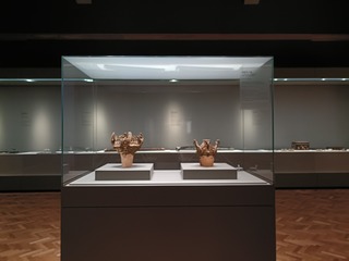 IMG20250425101636
