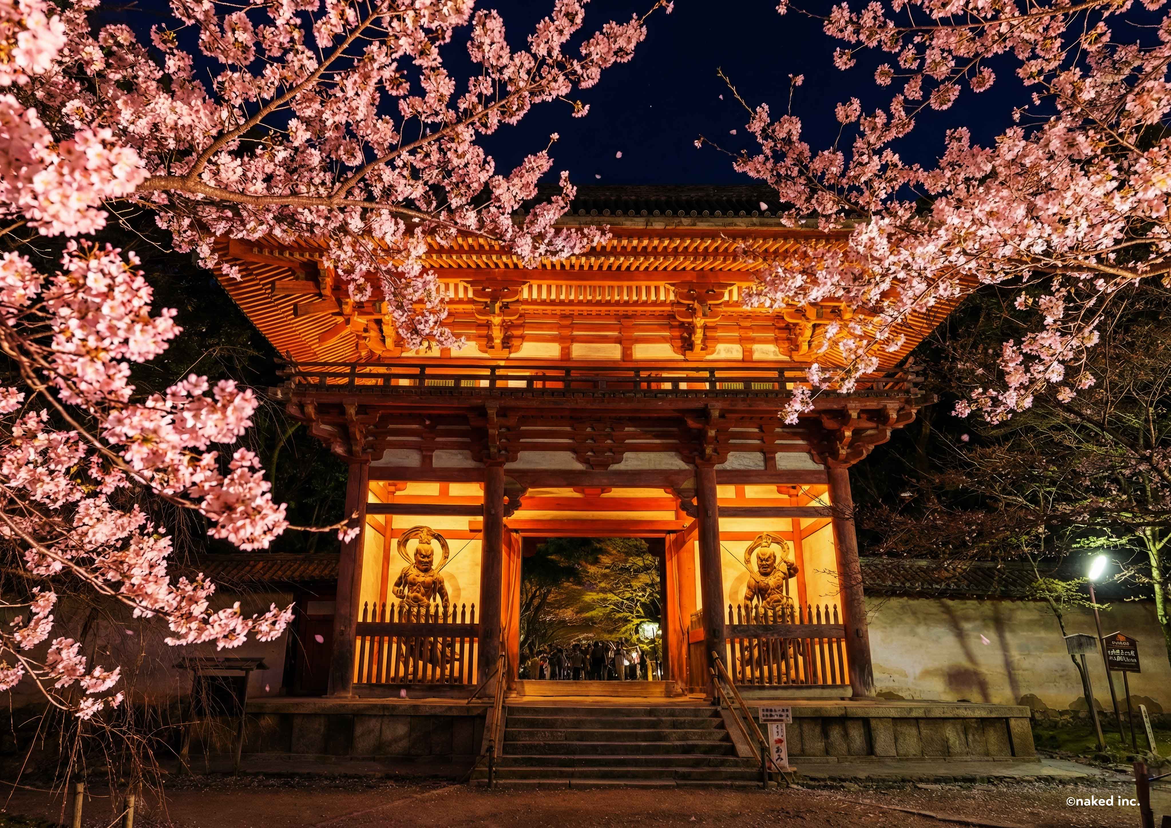 動画投稿中　F4 醍醐寺　手描き水彩画　直筆原画　京都世界遺産 動画投稿中 F4 醍醐寺 手描き水彩画 直筆原画 京都世界遺産 【公式通販】