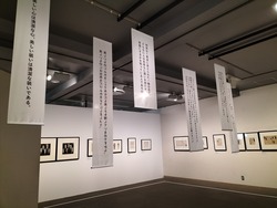 IMG20231117160825
