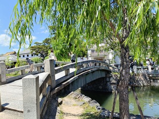 IMG20260509131408