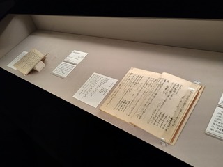 IMG_20250221_141601641_HDR
