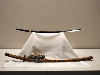 IMG20240621151029