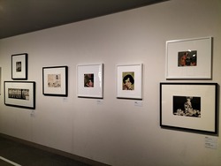 IMG20231117164346