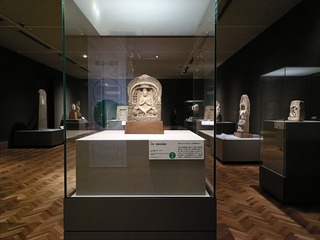 IMG20250228144451