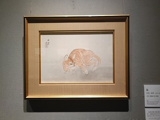 IMG20260518175740