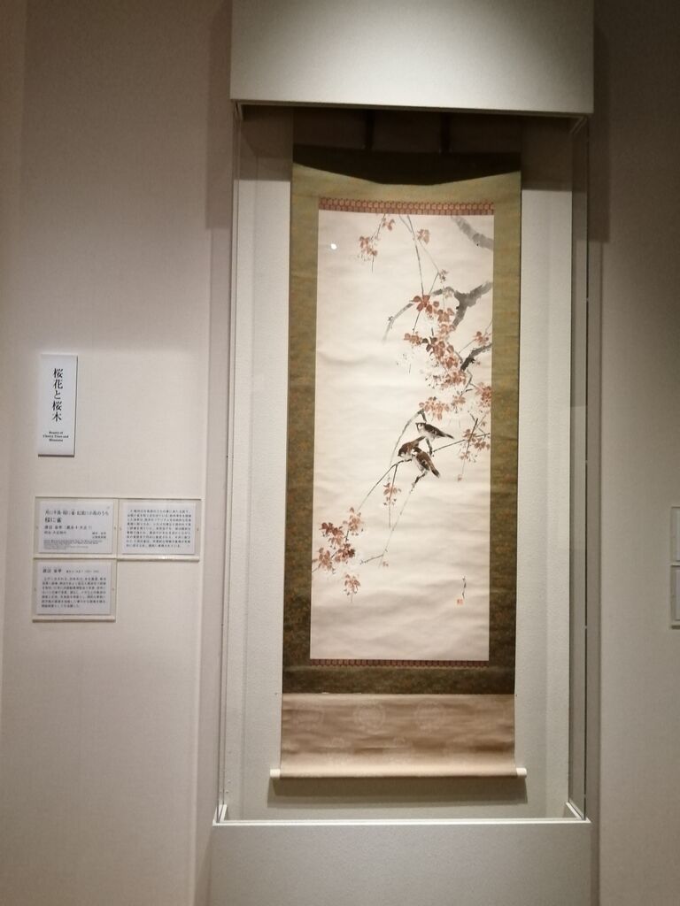 特別展 桜 さくら Sakura 美術館でお花見 山種美術館 美術散歩 特別展 桜 さくら Sakura 美術館でお花見 山種美術館 美術散歩