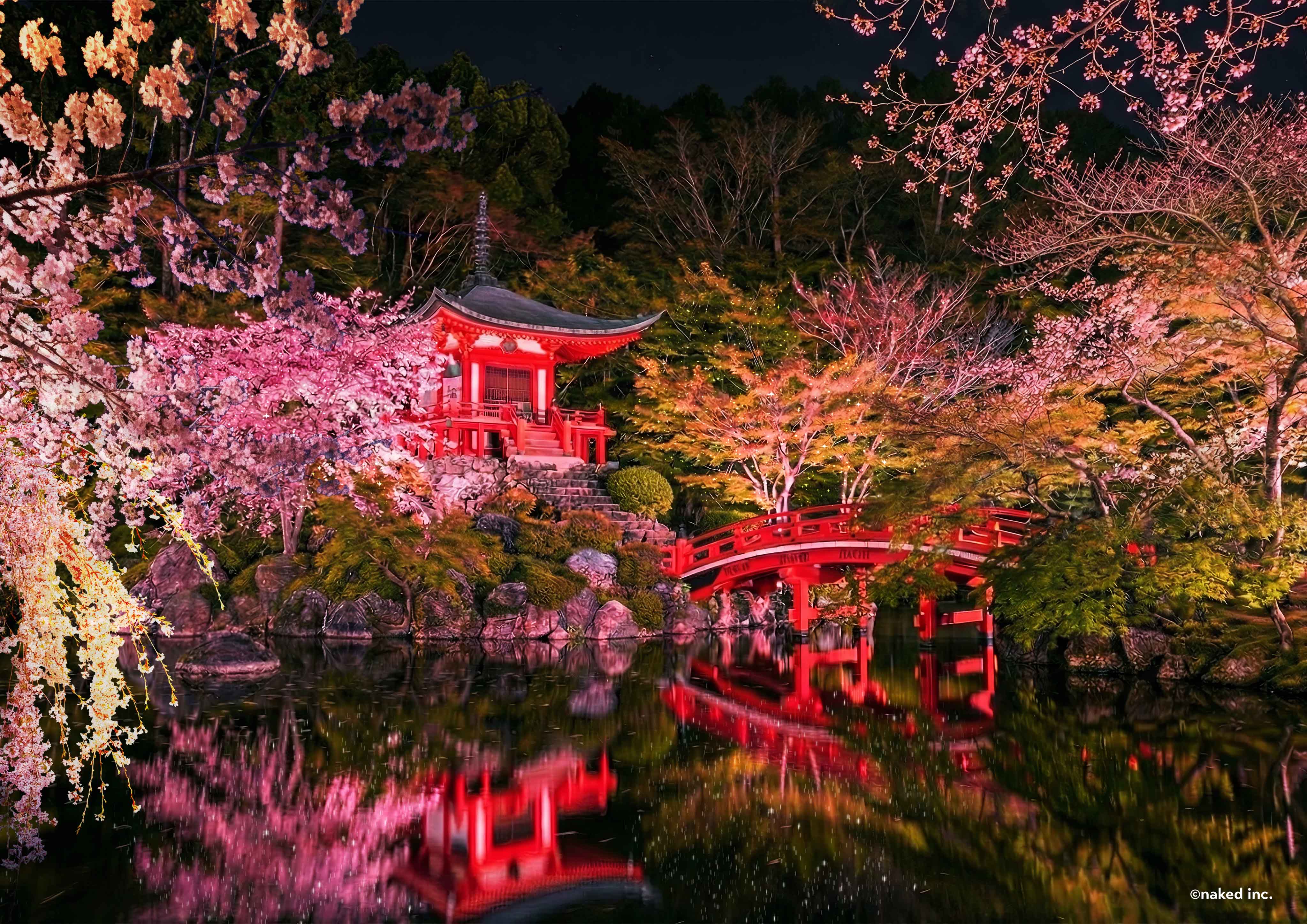 夜桜×デジタルアート】世界遺産・醍醐寺で楽しむ新しいお花見『そうだ