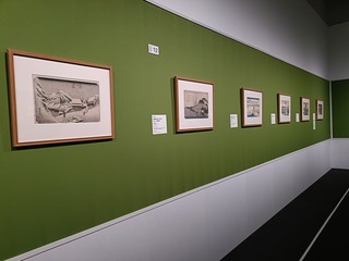 IMG20250526145101