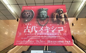 古代メキシコ (322)