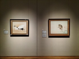 IMG20231204173233_BURST000_COVER