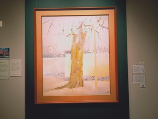 IMG_20250310_172648250