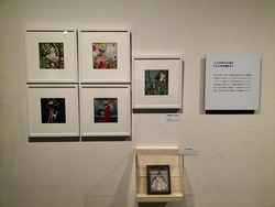 IMG20231117160236