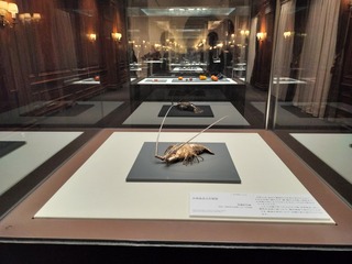 IMG20240701132947
