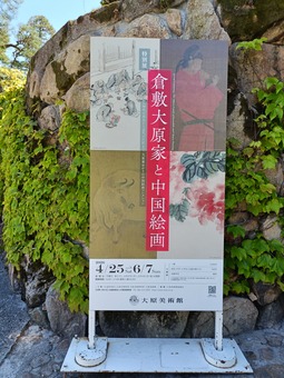 IMG20260509132101