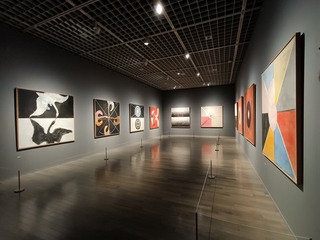 IMG20250303150532