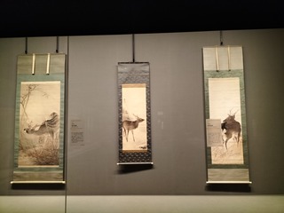 IMG20240315131702