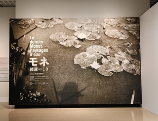 IMG20241004132609