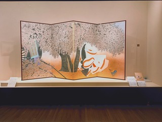 IMG_20250310_173059276_HDR