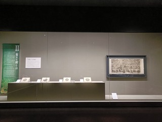 IMG20250606145532